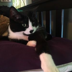 Meet your Posher, Sarah